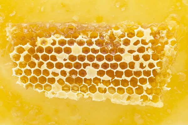 Sáp Ong – Vị thuốc quý cho sức khỏe và sắc đẹp