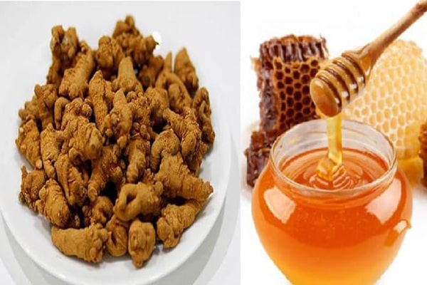 Tam thất mật ong, công dụng, cách làm và lưu ý