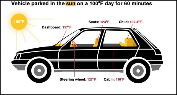 Đỗ xe dưới trời nắng nóng quá lâu có nguy cơ bị ung thư