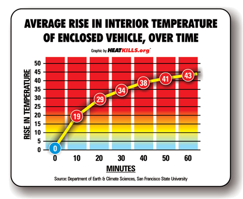 4 điều tuyệt đối tránh khi lái xe ô tô dưới trời nắng nóng