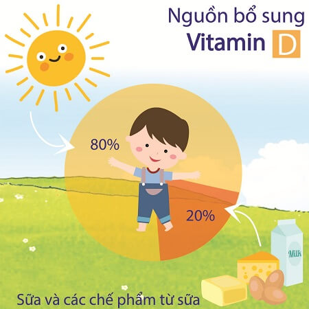 Vitamin D là gì? Vai trò của vitamin D đối với người tập thể hình